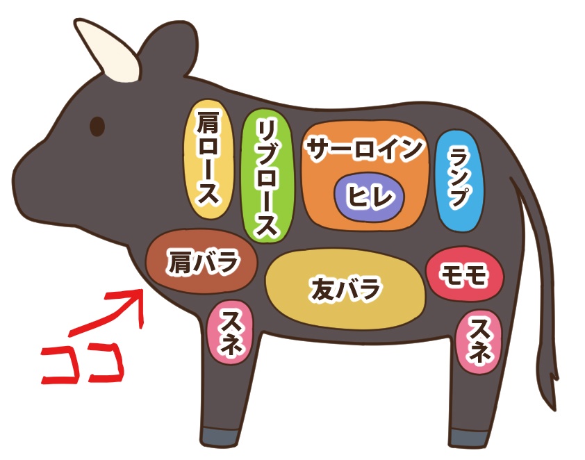 牛肉ブリスケ を徹底解析 お肉のプロたちが口を揃えて支持する前バラ 肩バラ お肉なび 美味しい肉には訳がある