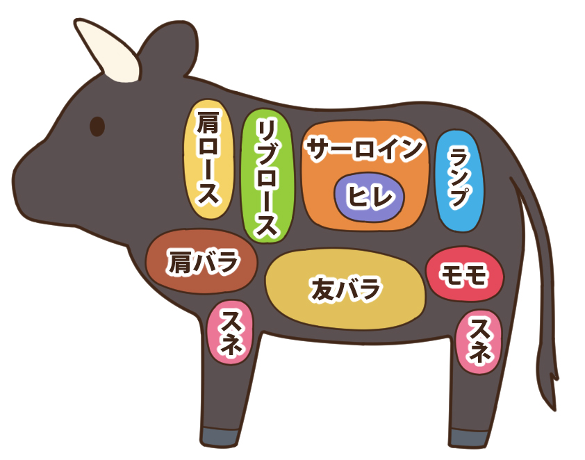 牛肉の赤身 とはどの部位 人によって違う赤身肉を徹底解説 お肉なび 美味しい肉には訳がある