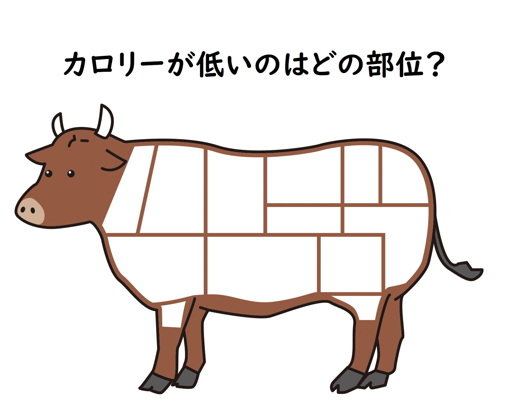 牛肉の赤身 とはどの部位 人によって違う赤身肉を徹底解説 お肉なび 美味しい肉には訳がある